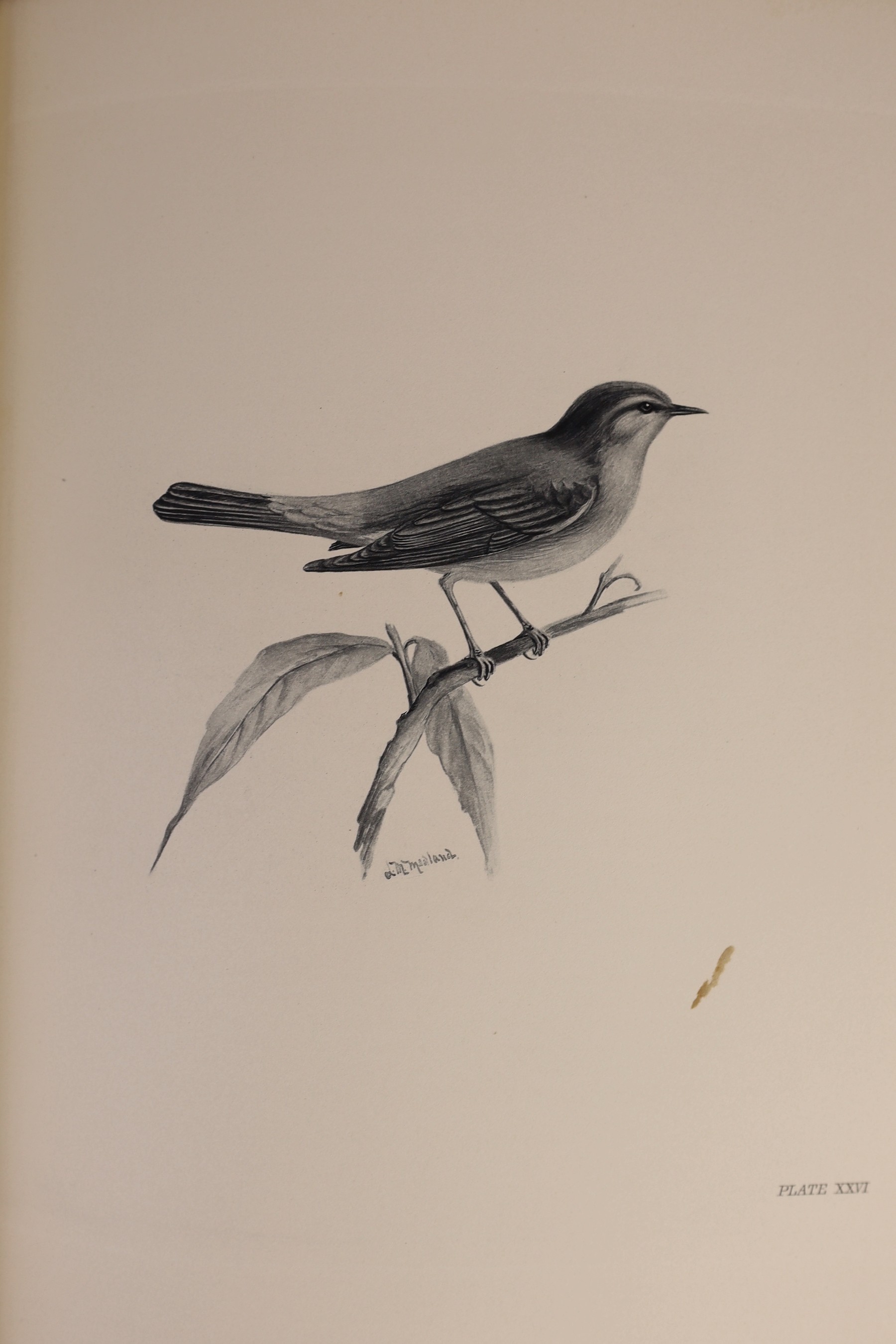 Stonham, Charles - The Birds of the British Islands, illustrated by Lilian M. Medland, 5 vols, folio, half calf with green cloth boards, with 2 folding maps, a double-page diagram and 318 full page tissue-guarded engrave